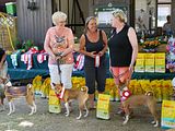 Golden Rabbit European Sandtrack-Derby Th. Ernst (239)